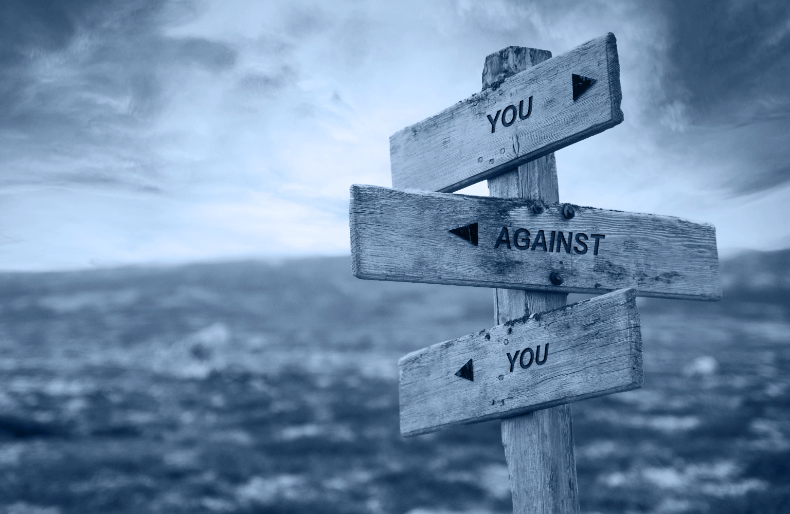 you vs you