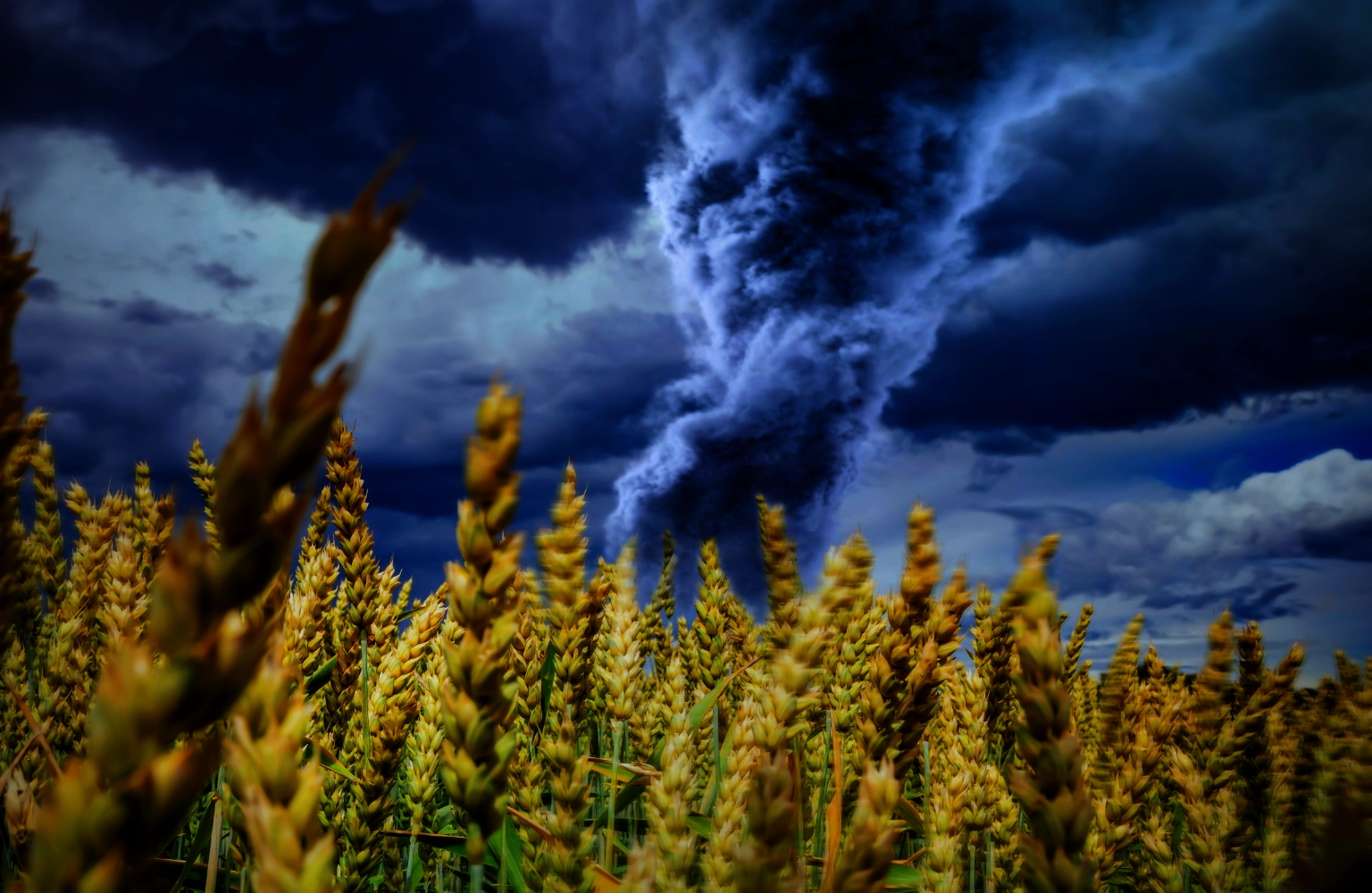 Anoxic brain injury is like an F5 tornado.